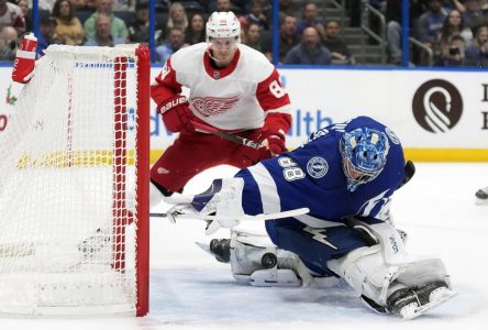 Husso stoppe 43 tirs et les Red Wings défont le Lightning 4-2