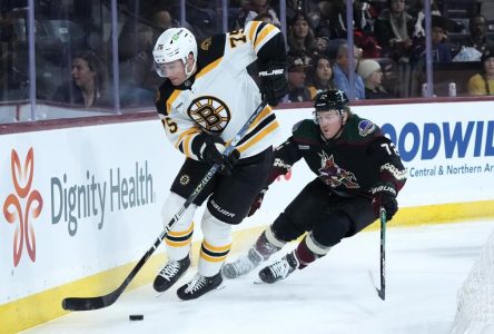 Les Coyotes mettent fin à une série de 19 défaites contre les Bruins