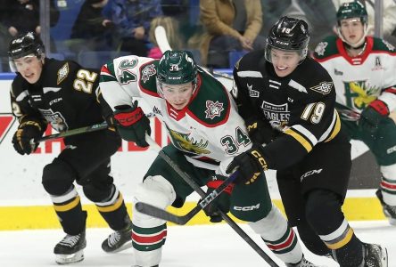 Les Mooseheads amorcent la deuxième moitié en se rangeant derrière leur attaque