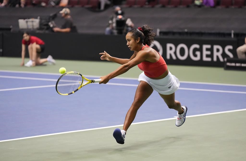 Fernandez baisse pavillon en deux manches en quarts de finale à Auckland