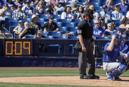 Baseball: des statistiques avancées pour favoriser du jeu plus rapide