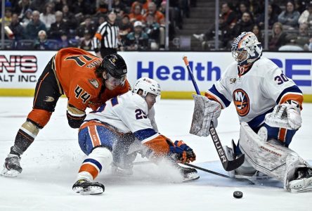 Palmieri et Nelson mènent les Islanders à un gain de 6-3 contre les Ducks