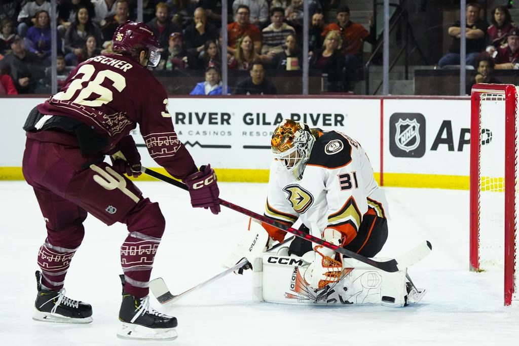 Les Coyotes battent les Ducks 5-4 en prolongation, 10e défaite de suite pour Anaheim