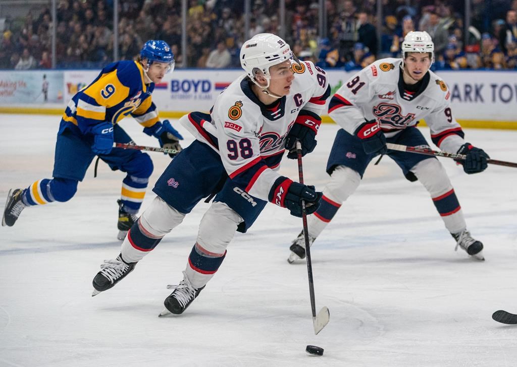 Ligue de l’Ouest: Les Blades gagnent le match ultime et éliminent Bedard et les Pats