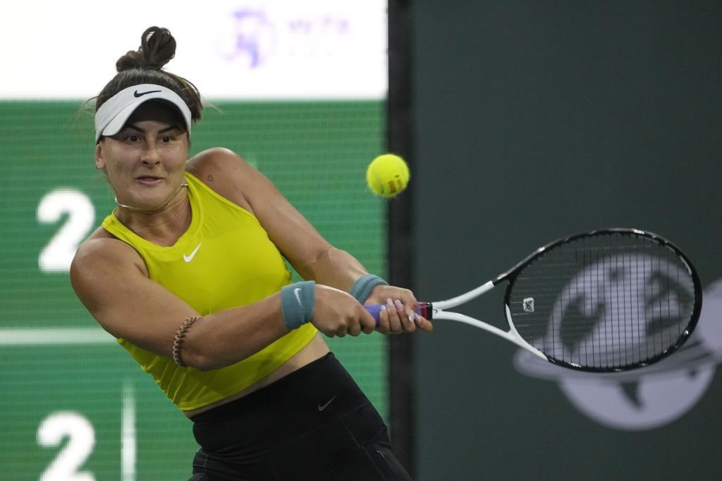 Bianca Andreescu et Milos Raonic subissent l’élimination au tournoi de Bois-le-Duc