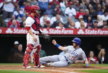 Un séjour parmi les blessés pour Patrick Wisdom, le meneur des Cubs pour les circuits