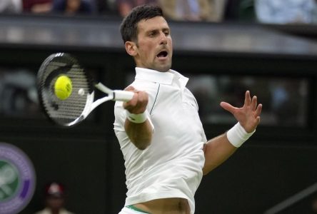 Novak Djokovic convoitera un 8e titre à Wimbledon dès lundi, et un 24e en carrière