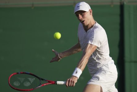 Andreescu et Shapovalov l’emportent à Wimbledon; Fernandez aussi en double