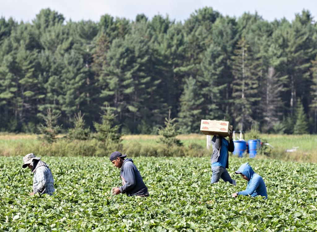 Workplace health and safety reform: Unions and injured workers demonstrate