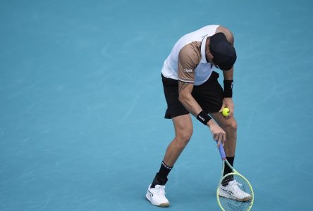 Andy Murray bat Matteo Berrettini en 1re ronde au tournoi de tennis de Miami