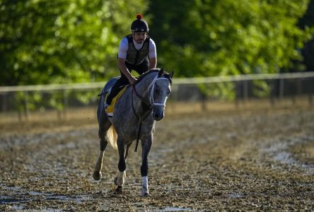 Seize the Grey remporte le Preakness pour mettre fin aux espoirs de Triple Couronne