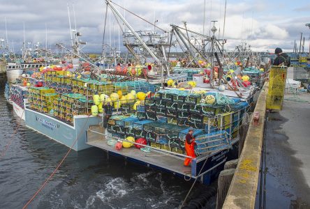 Ottawa surveille de près l’altération des casiers à homards en Nouvelle-Écosse