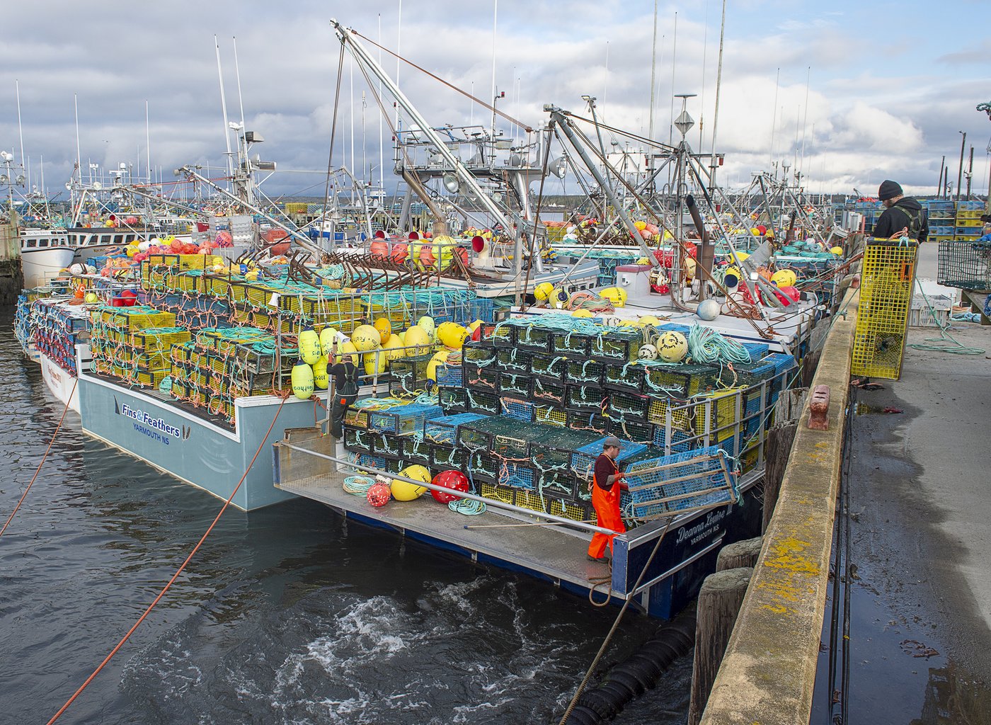 Ottawa surveille de près l’altération des casiers à homards en Nouvelle-Écosse