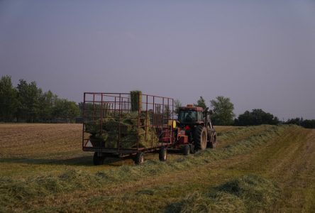 Une enquête ouverte sur des courriels supprimés liés à la ceinture de verdure