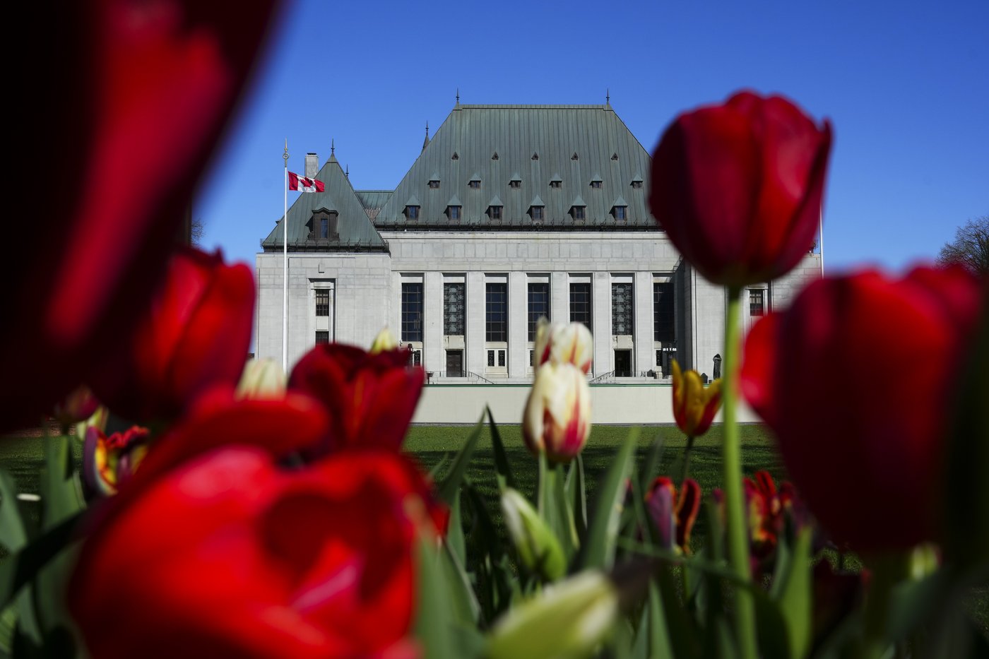 Rapatriement de la Constitution en 1982: des groupes s’adressent à la Cour suprême