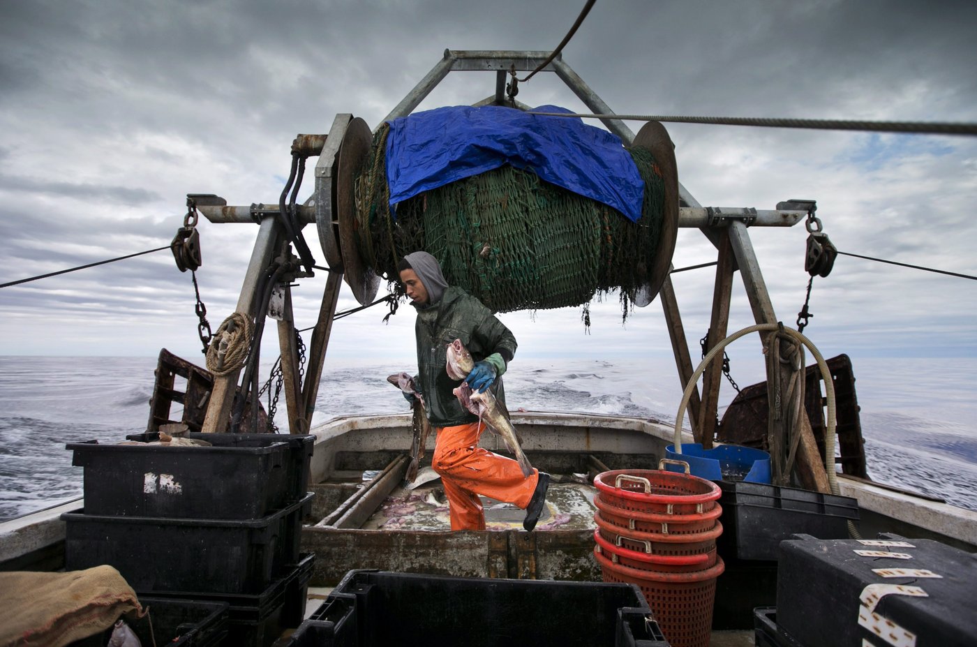 T.-N.-L.: Ottawa met fin au moratoire sur la pêche à la morue après plus de 30 ans