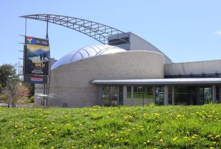 Toronto examine les obligations légales de la province envers le Centre des sciences