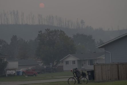 Les feux de forêt de 2023 ont rejeté plus de CO2 dans l’atmosphère que des avions