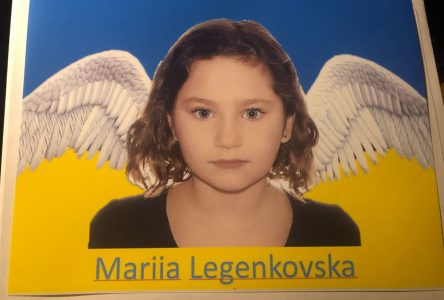 Un an de détention à domicile pour l’automobiliste qui a tué la fillette ukrainienne