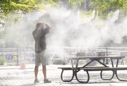 La chaleur est liée à 470 décès et 225 hospitalisations chaque été au Québec
