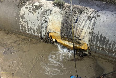 Calgary déclare l’état d’urgence, la réparation de la conduite d’eau se poursuit