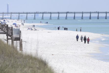 Les autorités de la Floride surveillent la côte ouest après des attaques de requins