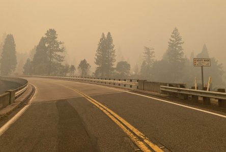 Les pompiers luttent contre un feu de forêt à l’est de San Francisco, en Californie