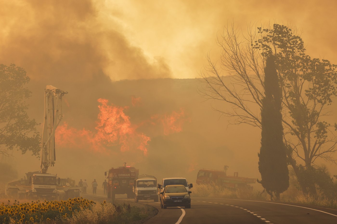 11 personnes sont mortes dans un incendie agricole en Turquie