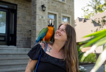 Sabrina Rogers adopte le perroquet de ses rêves