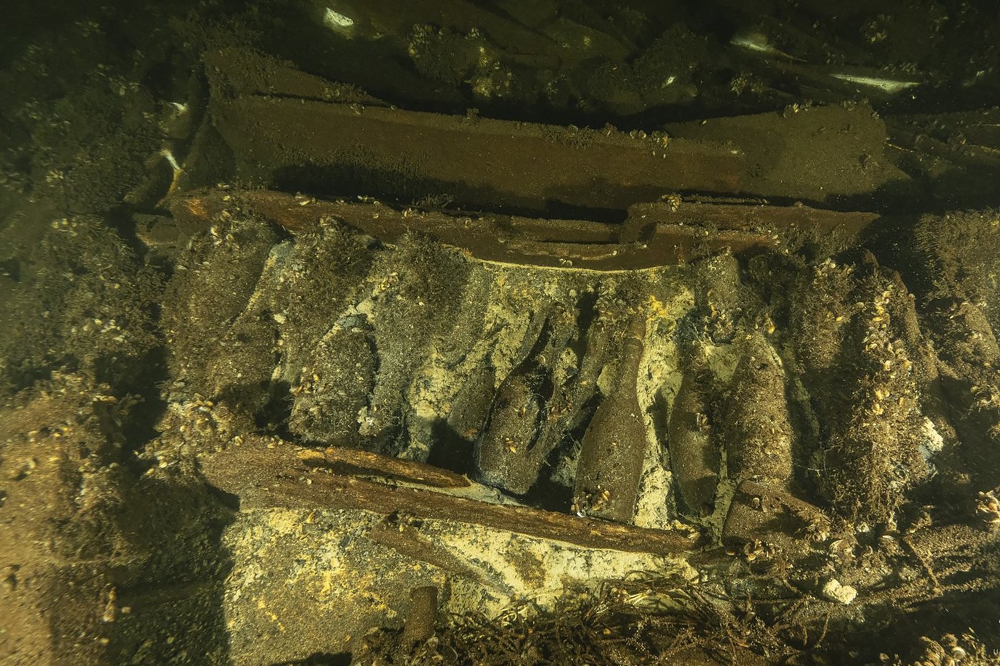 Des bouteilles de champagne trouvées sur une épave du XIXe siècle