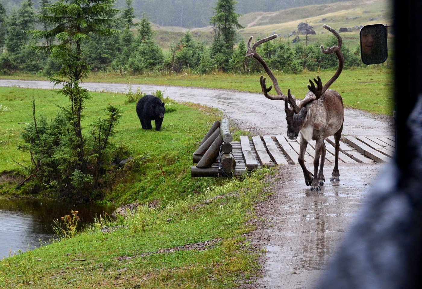 Caribou: 50% des 2000 pertes d’emplois seraient dans le même secteur, selon Québec