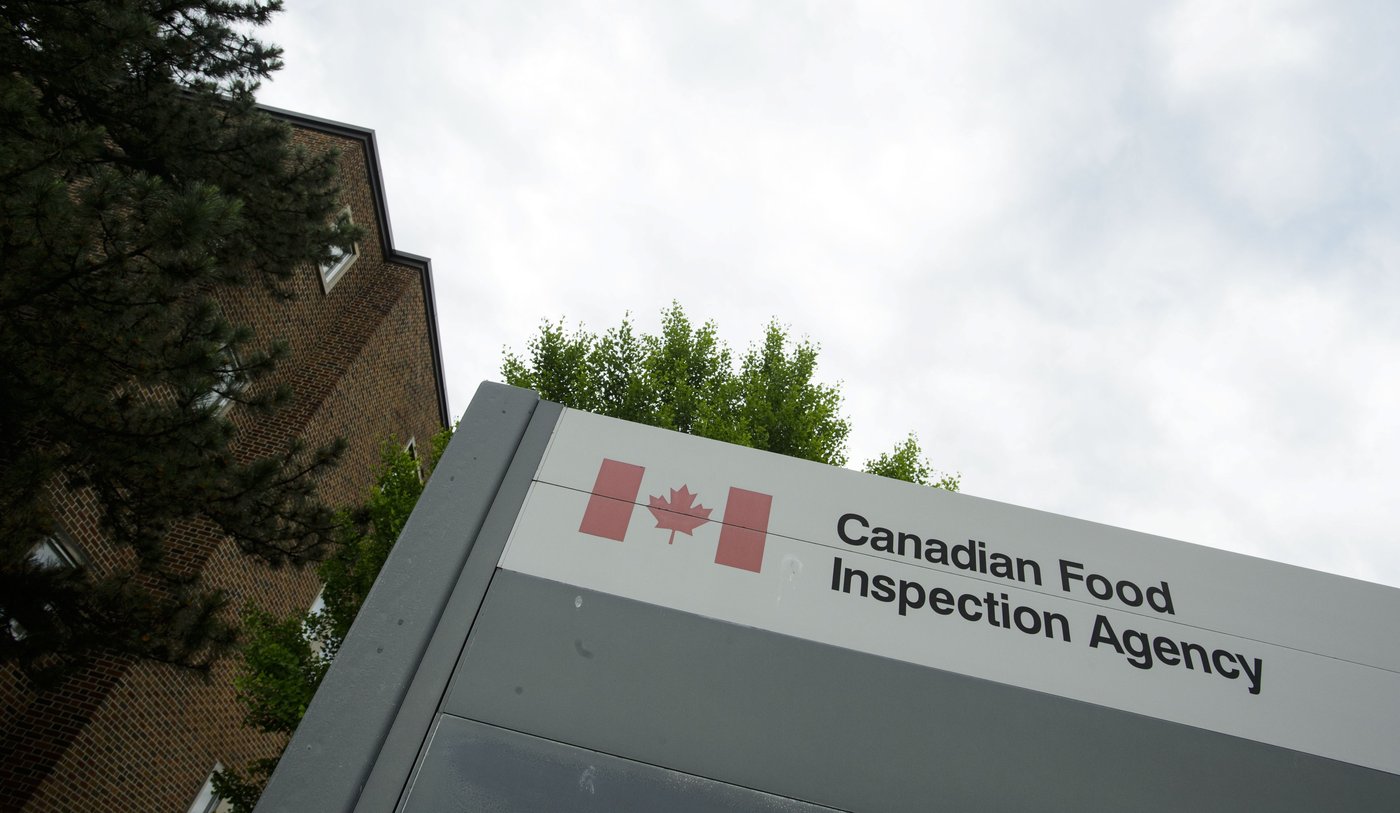 Le tribunal met fin à l’application des règles d’abattage casher d’Ottawa