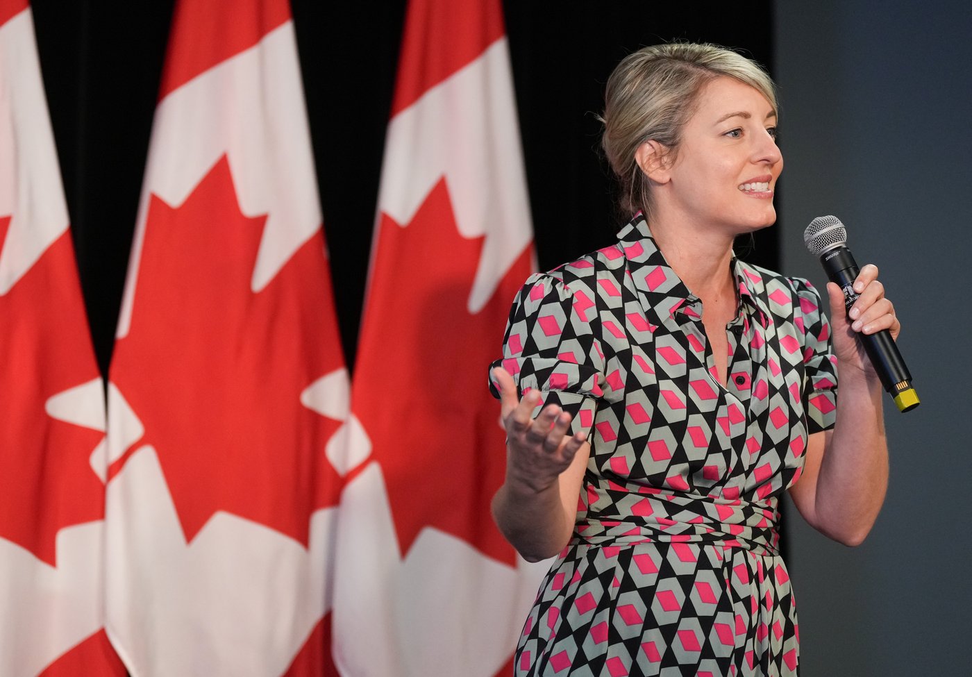 La ministre Mélanie Joly a rencontré son nouvel homologue britannique