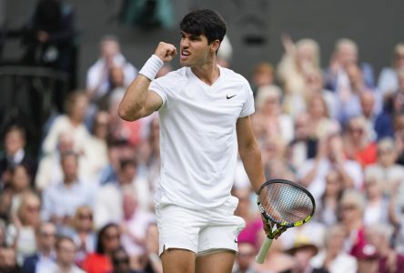 Carlos Alcaraz et Novak Djokovic retournent en finale au tournoi de Wimbledon
