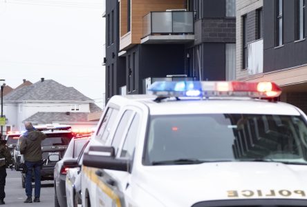 La SQ met la main sur une trentaine de véhicules volés dans le Grand Montréal