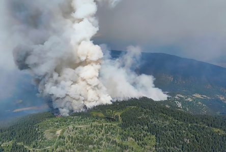 Colombie-Britannique : les incendies de forêt forcent des évacuations