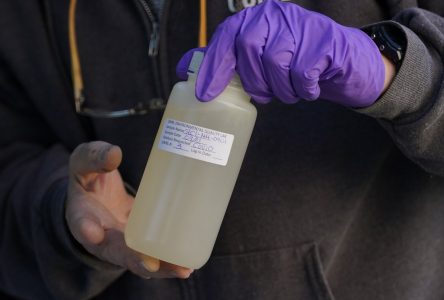 L’Ontario met fin aux analyses des eaux usées pour détecter la COVID-19