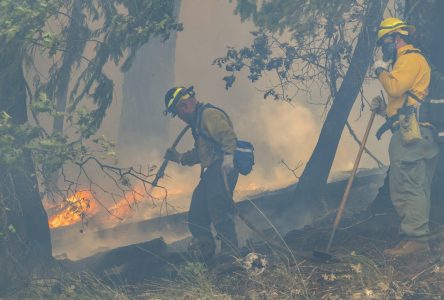 Des milliers de pompiers luttent contre les feux de forêt aux États-Unis et au Canada