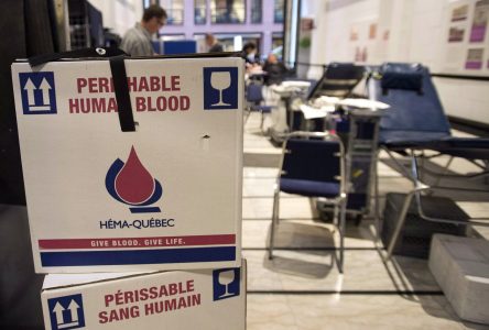 Héma-Québec s’inquiète du déclin du nombre de jeunes qui vont donner du sang