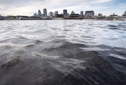 La Garde côtière canadienne enquête sur la marée noire survenue à Montréal