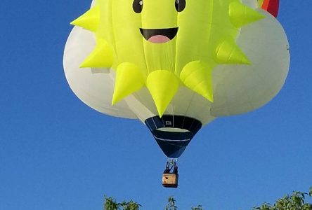 Soixante-quatre ballons à admirer dans le ciel à l’International de montgolfières