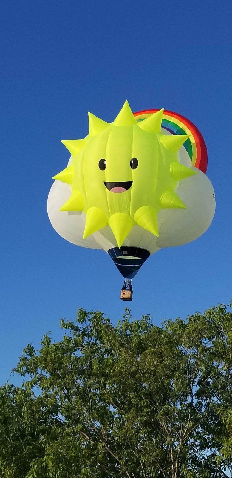 Soixante-quatre ballons à admirer dans le ciel à l’International de montgolfières