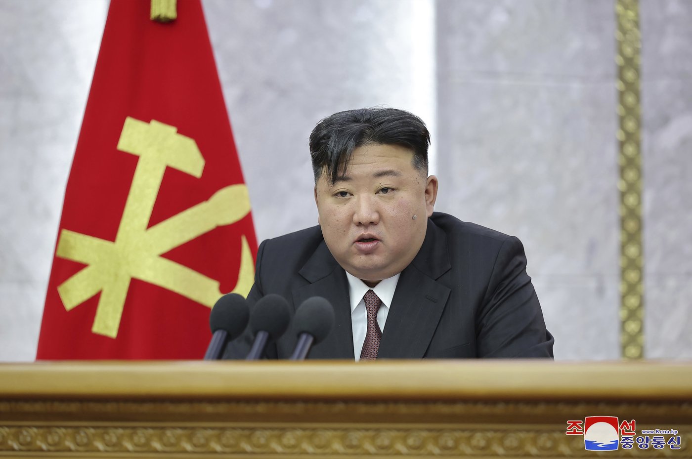 Les responsables nord-coréens chercheraient des médicaments pour traiter Kim Jong-un