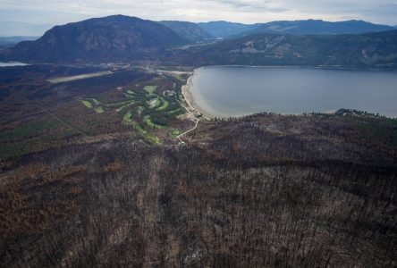 La chaleur et la sécheresse ont causé la saison des feux en 2023, selon une étude