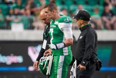 Alouettes-Roughriders : un duel entre Davis Alexander et Trevor Harris