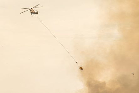 Un feu de forêt force l’évacuation du sud de Valemount, en Colombie-Britannique