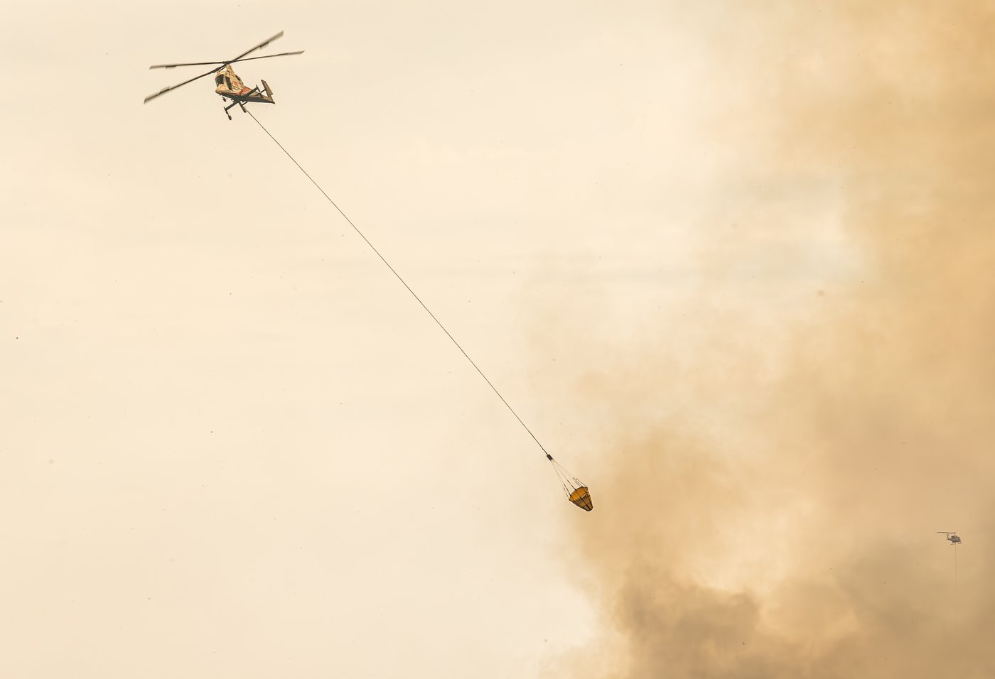 Un feu de forêt force l’évacuation du sud de Valemount, en Colombie-Britannique