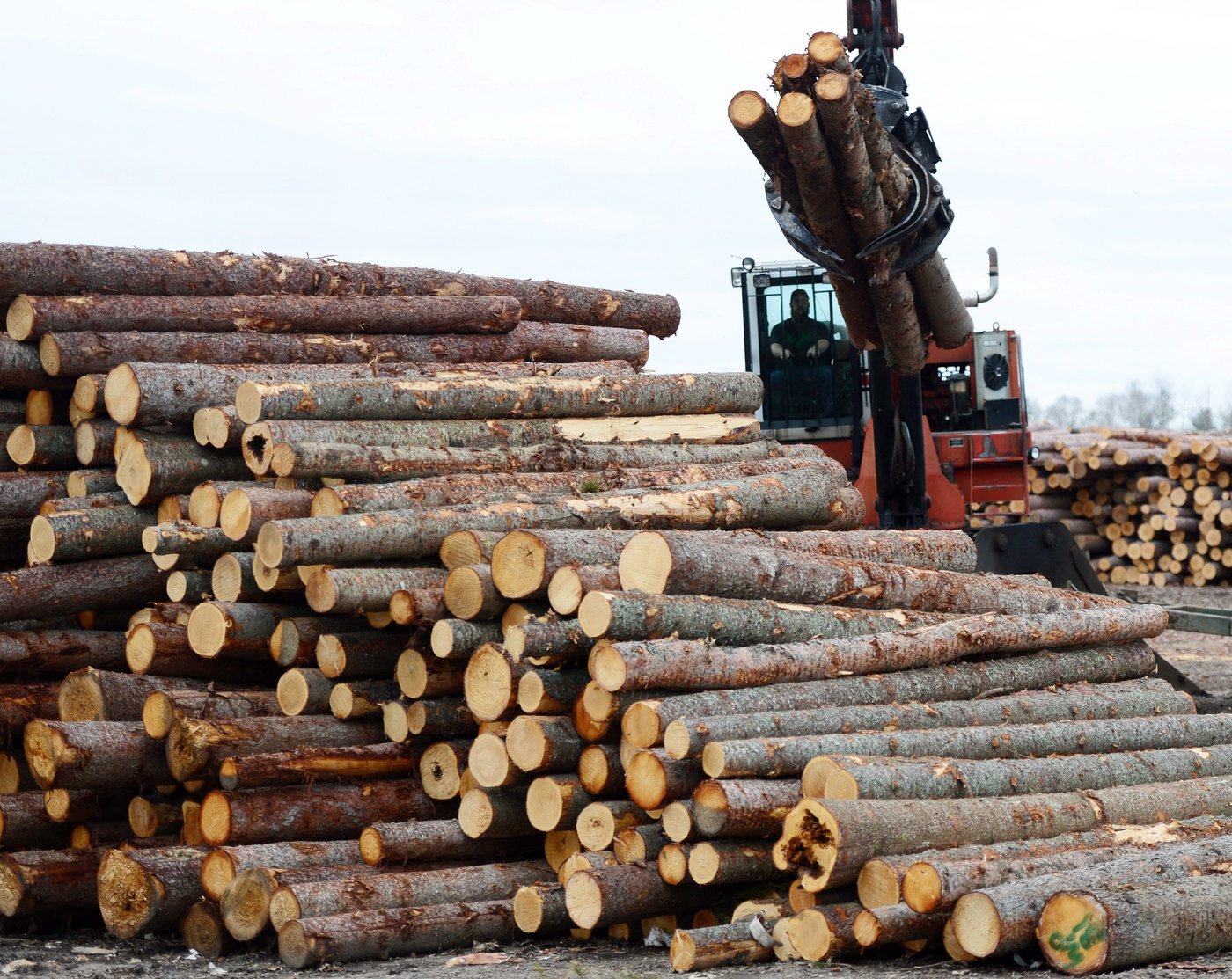 Ottawa dénonce l’augmentation des droits américains sur le bois d’oeuvre résineux