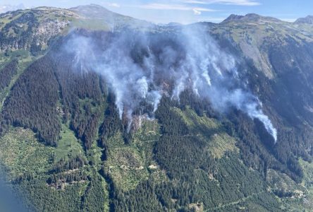 Le nombre de feux de forêt continue de diminuer en Colombie-Britannique