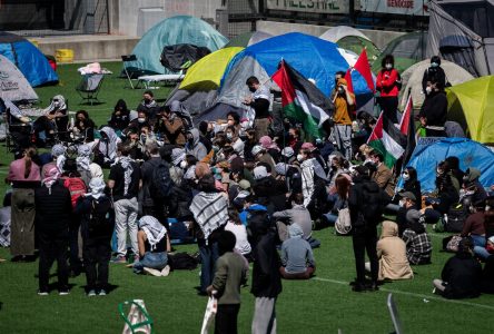 C.-B.: la Cour ordonne la fermeture d’un camp propalestinien à Nanaimo